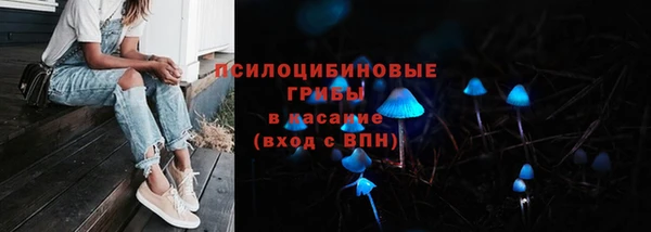 мет Белокуриха