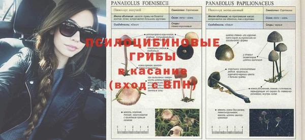 амф Баксан