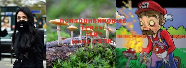 каннабис Богородицк